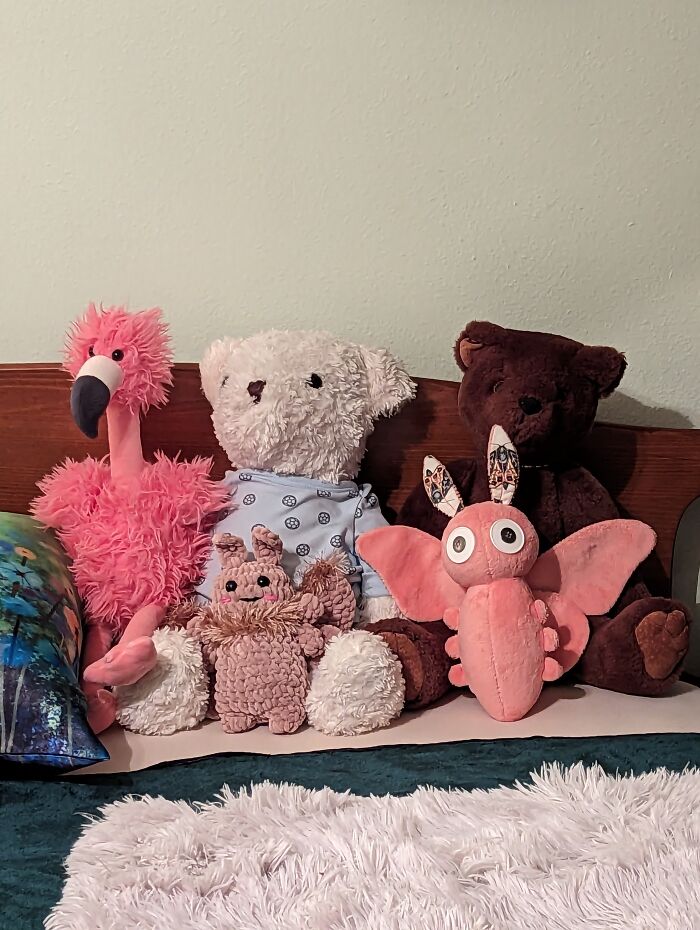 Moths, Bears, And Mimsy