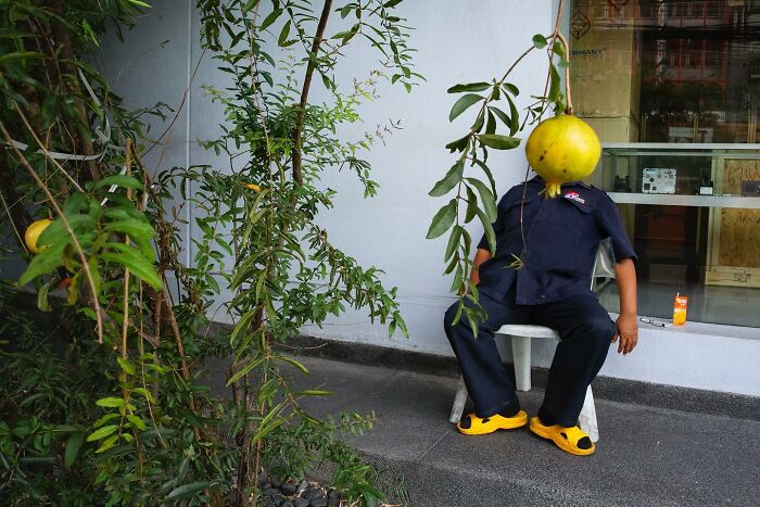 Photographer Takes To The Streets Capturing Unlikely Coincidences