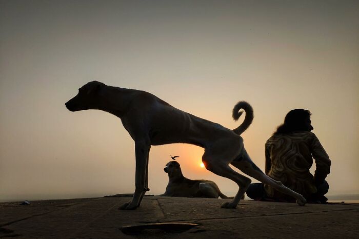 Photographer Takes To The Streets Capturing Unlikely Coincidences