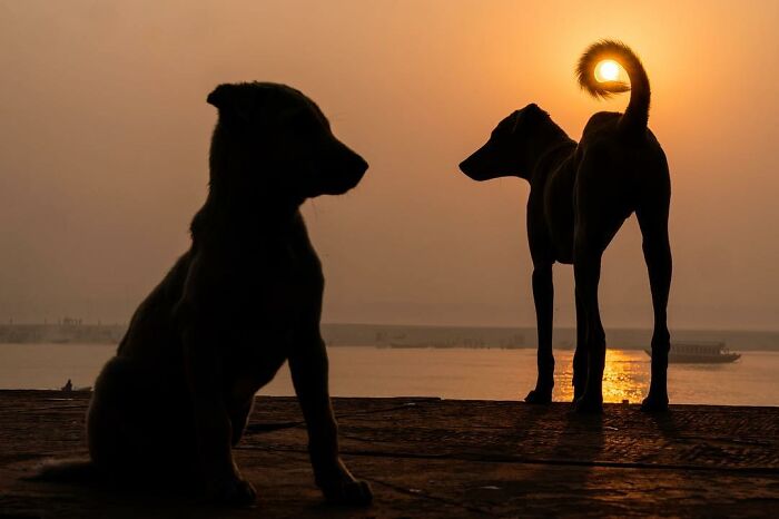 Photographer Takes To The Streets Capturing Unlikely Coincidences