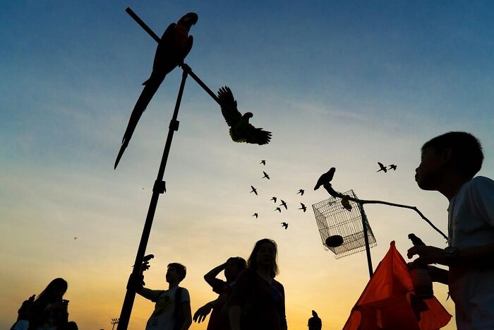 Photographer Takes To The Streets Capturing Unlikely Coincidences