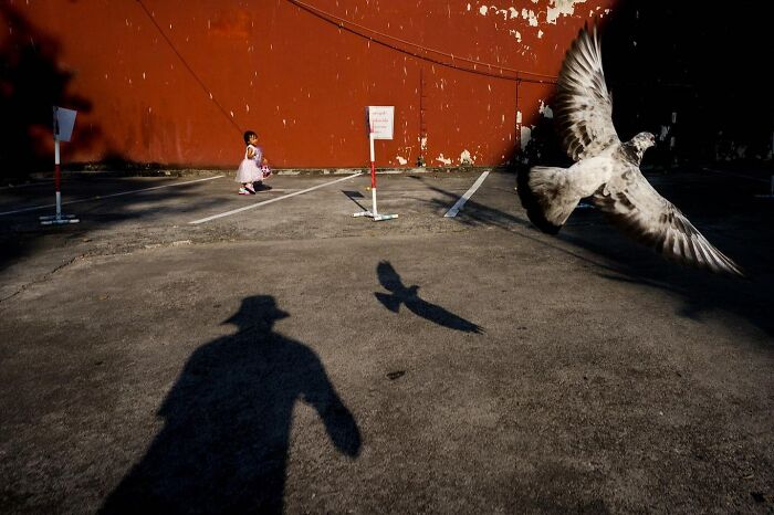 Photographer Takes To The Streets Capturing Unlikely Coincidences