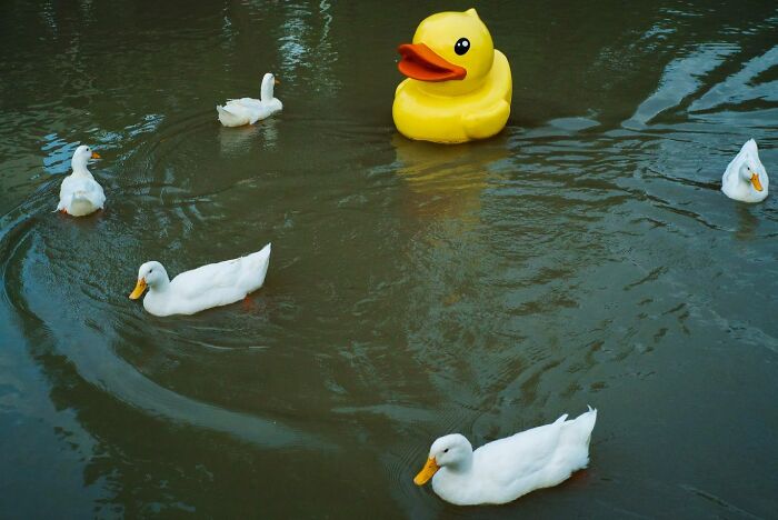 Photographer Takes To The Streets Capturing Unlikely Coincidences