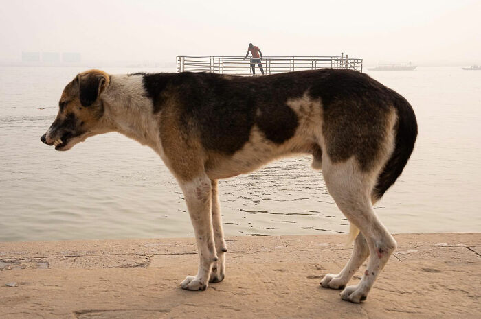 Photographer Takes To The Streets Capturing Unlikely Coincidences