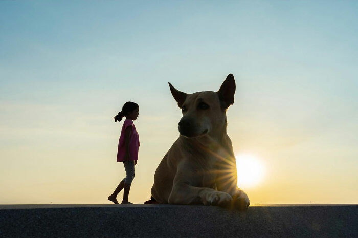 Photographer Takes To The Streets Capturing Unlikely Coincidences