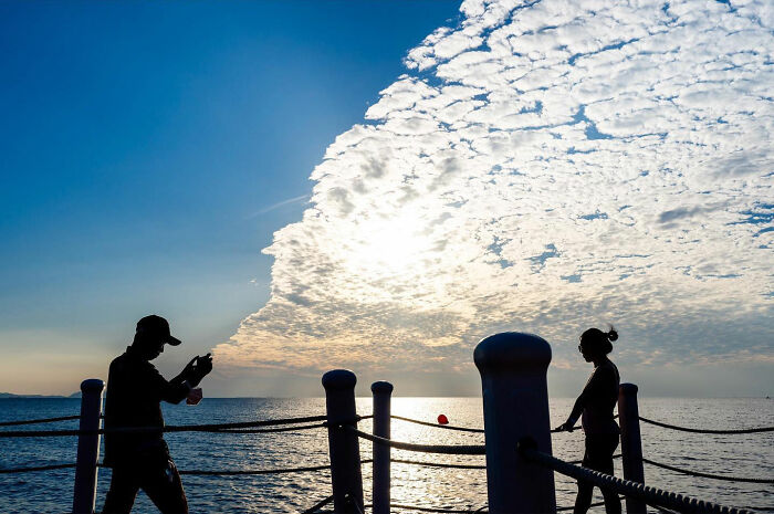 Photographer Takes To The Streets Capturing Unlikely Coincidences