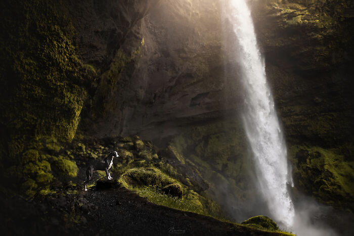 Light In The Darkness