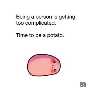 angiecameron_1 avatar