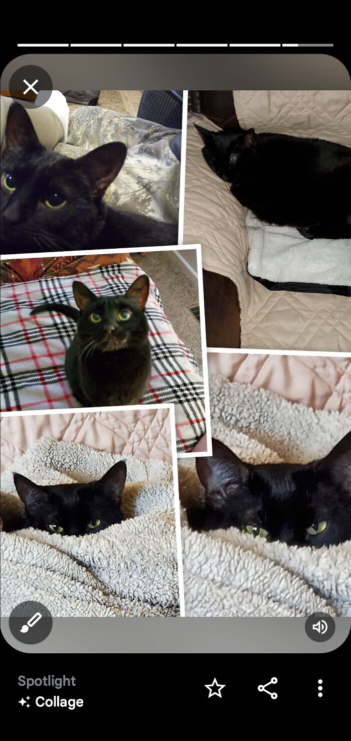 Our Beautiful Black Sissy