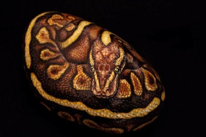 Japanese Artist Turns Stones Into Tiny Animals And They&rsquo;re Extremely Adorable