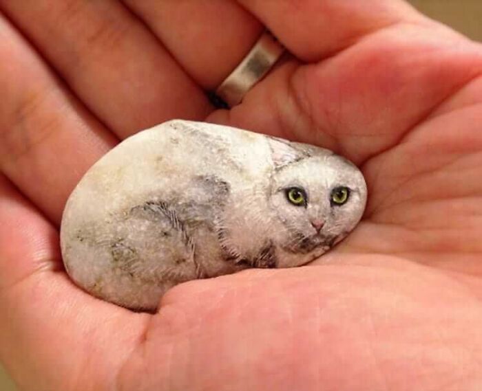 Japanese Artist Turns Stones Into Tiny Animals And They&rsquo;re Extremely Adorable