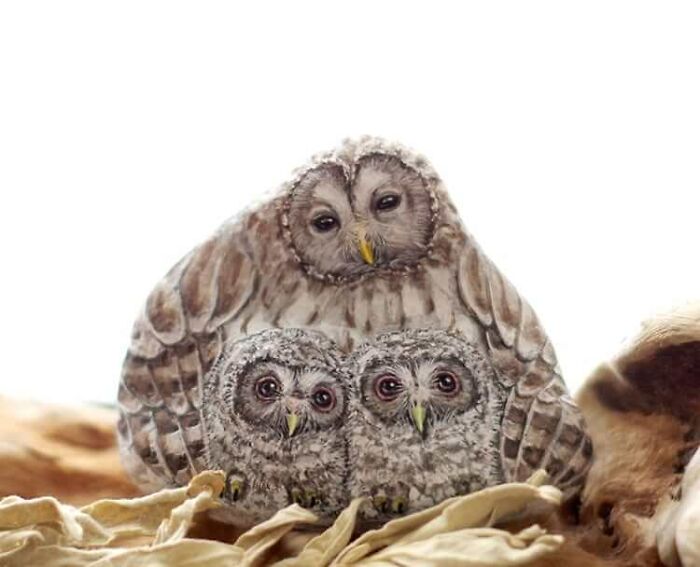 Japanese Artist Turns Stones Into Tiny Animals And They&rsquo;re Extremely Adorable