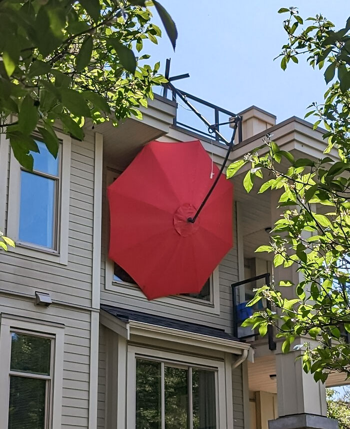 That's One Way To Beat The Heatwave