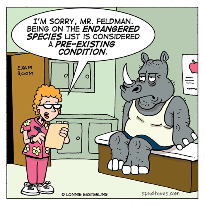 These Single-Panel Comics Are Sure To Make Your Day Better (New Pics)