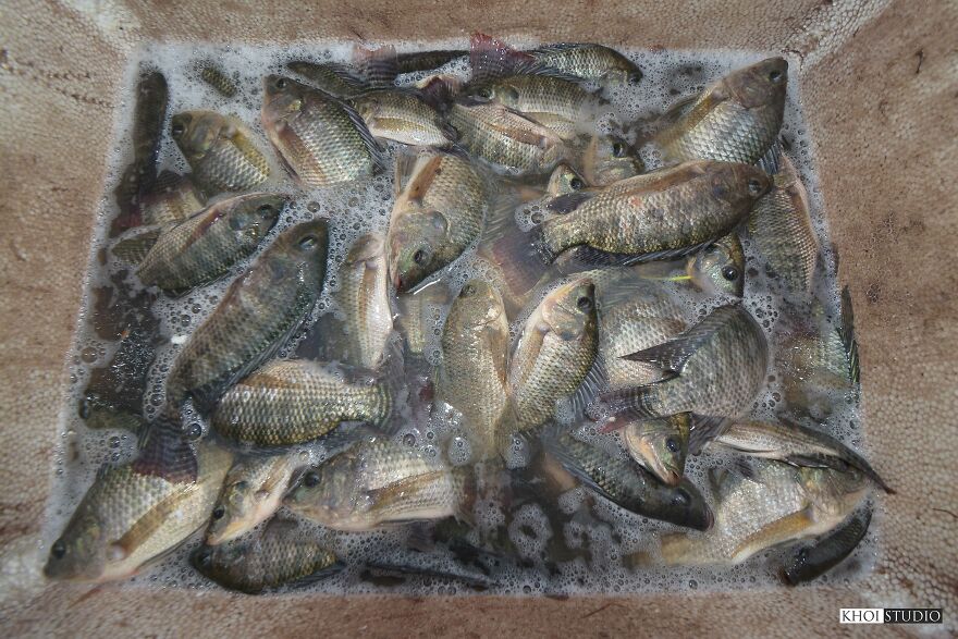 I Documented People Racing Against Time Before Typhoon Noul Hit Da Nang City In Vietnam