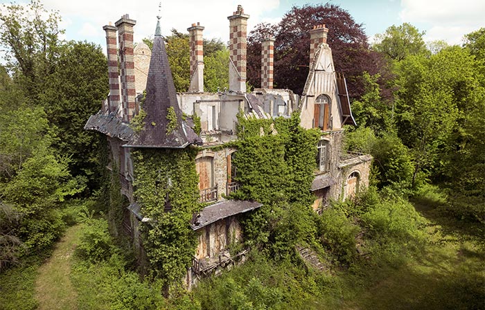 “When Nature Reclaims Its Rights”: My Exploration Through 19 Pics