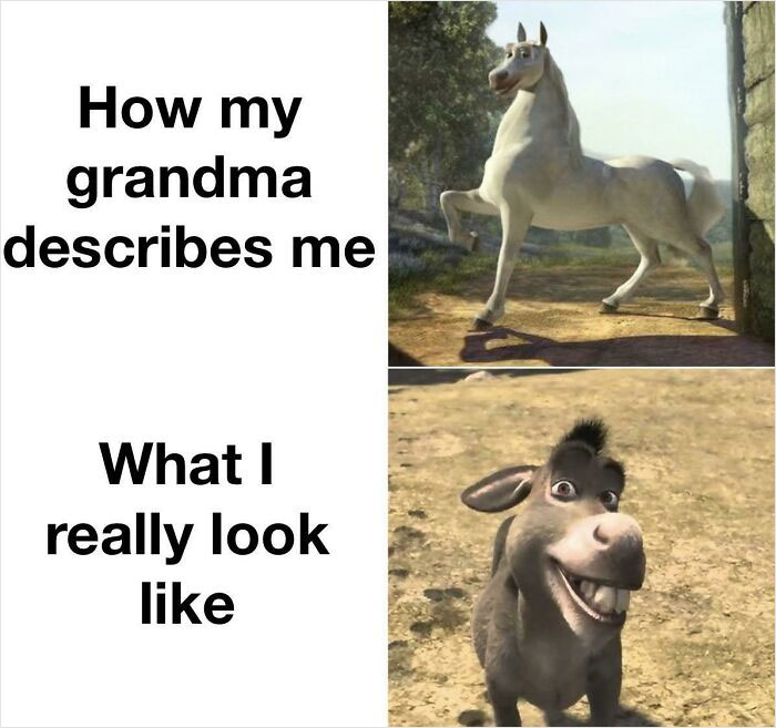 Shrek meme showing a horse as "grandma's description" and Donkey as "what I really look like."