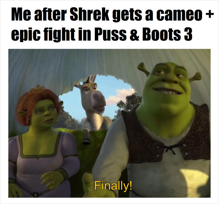 Shrek meme with Fiona and Donkey in a funny scene, capturing a moment from the internet's latest viral trend.