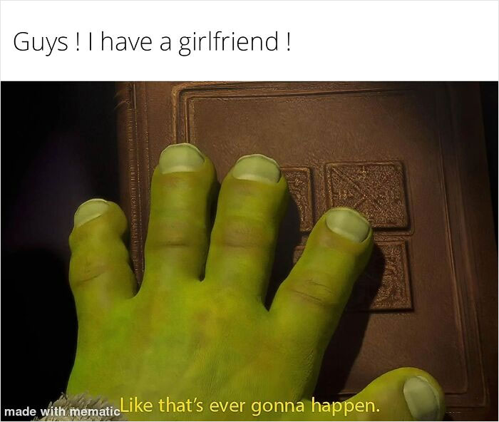 Shrek meme with text: "Guys! I have a girlfriend!" and Shrek’s hand saying, "Like that’s ever gonna happen."