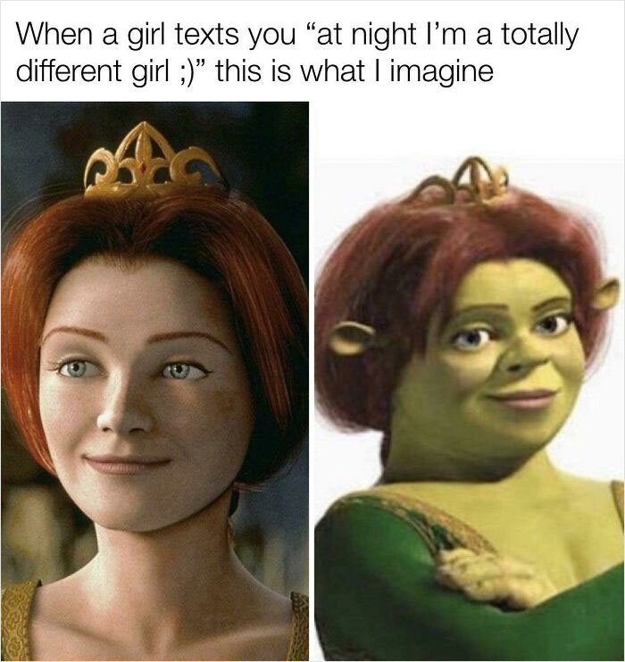 Princess Fiona from Shrek, with a text above comparing her day and night appearance in a humorous meme.