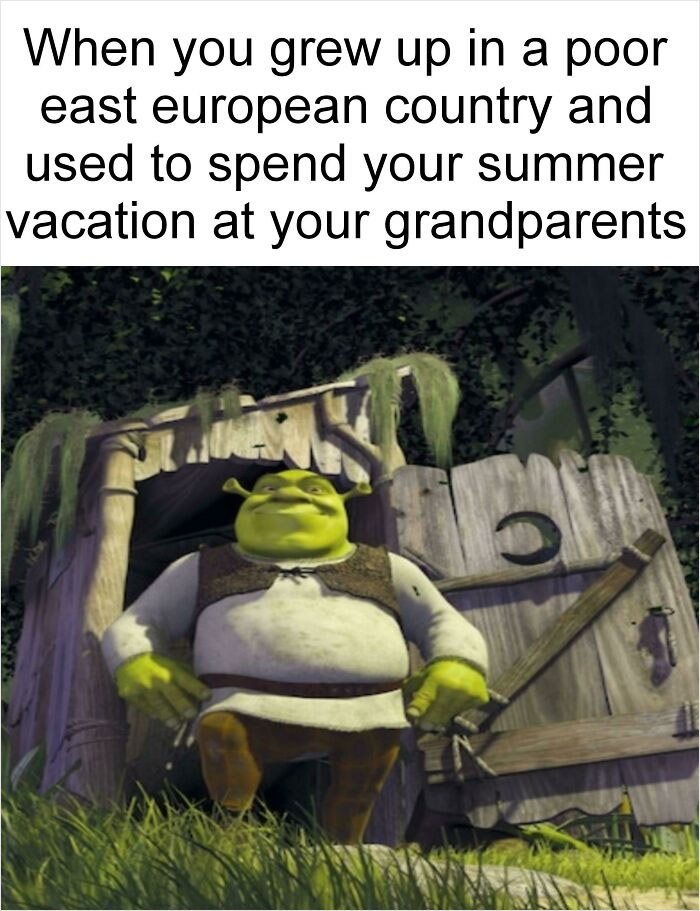 Shrek meme showing a humorous scene with a caption about summer vacations in Eastern Europe.