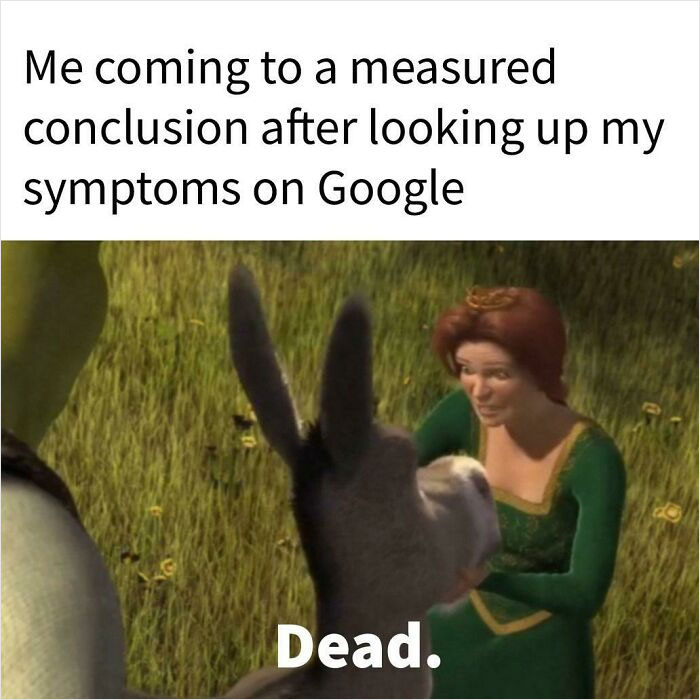 Shrek meme showing Fiona and Donkey joking about googling symptoms, capturing internet humor perfectly.