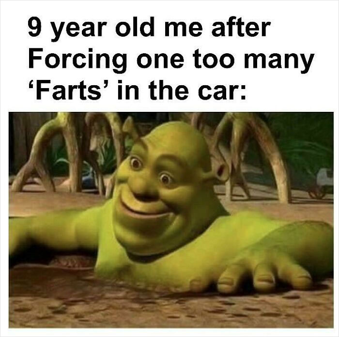 Shrek meme with a humorous caption about forcing farts in a car, showcasing the character's funny facial expression.