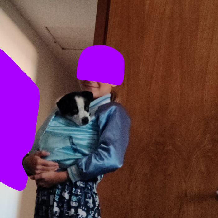 My Siblings, They Don't Make Any Sense