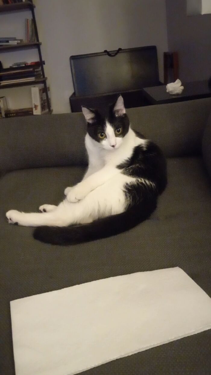 This Is Lucha, We Adopted Him And He Is Such A Dork. We Love Him