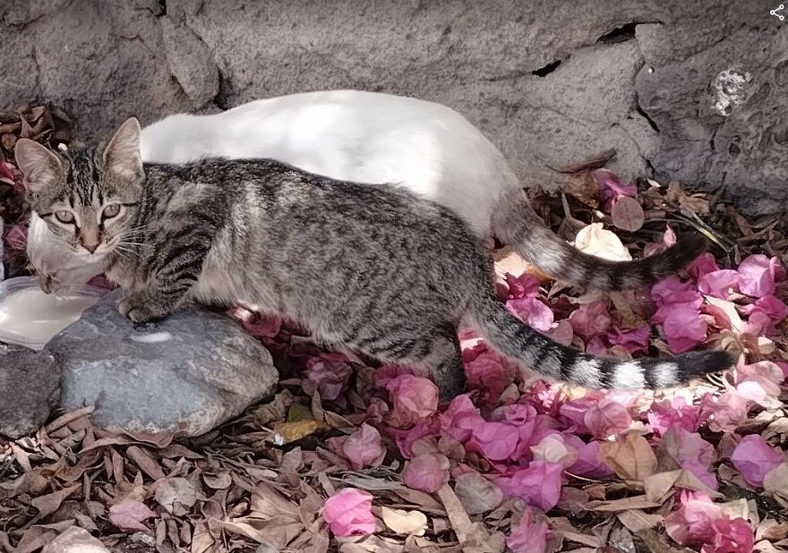 Wildfires Rapidly Spreading Closer To Our Area Wildfires Rapidly Spreading Closer To Our Area