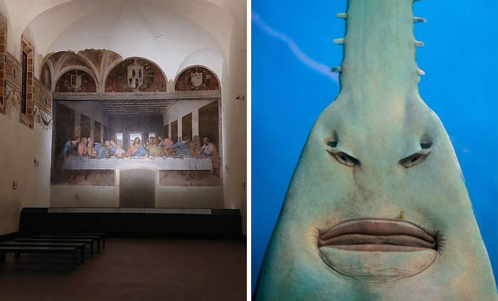 30 Fotos que ofrecen «ángulos alternativos» de eventos, lugares y cosas que quizá no hayas visto antes (nuevas imágenes)