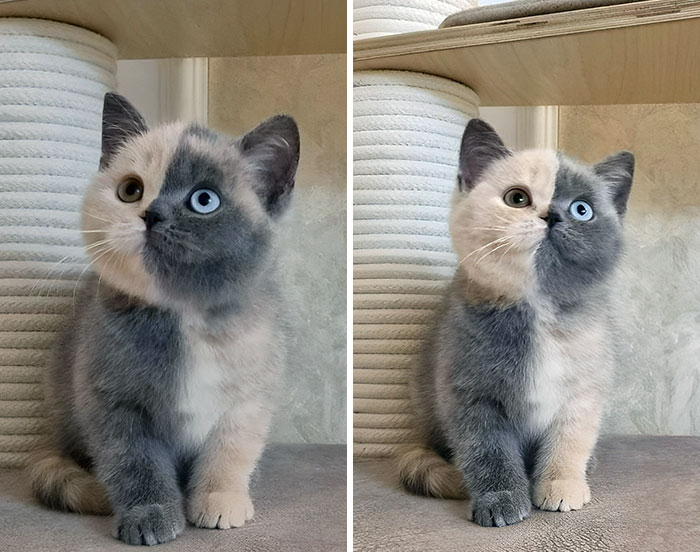 Wow. What A Unique Beauty