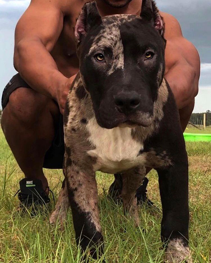 Beautiful Splitted Pattern