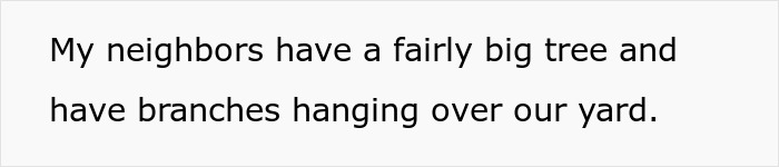 Person Maliciously Complies With Annoying Neighbor Who Kept Asking Them To Cut Down His Tree