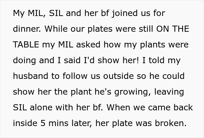 Woman Exposes ‘Clumsy’ SIL’s Secret At Dinner Table For All To See, She Leaves Sobbing Woman Exposes ‘Clumsy’ SIL’s Secret At Dinner Table For All To See, She Leaves Sobbing