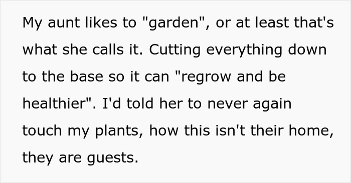Family Drama Ensues As Entitled Woman Uproots Nice Magnolia Tree In Her Nephew's Garden