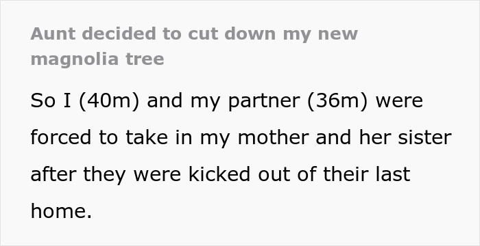 Family Drama Ensues As Entitled Woman Uproots Nice Magnolia Tree In Her Nephew's Garden