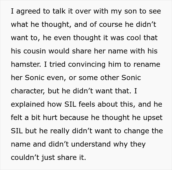Parent Won&rsquo;t Make Son Change Hamster's Name Which SIL Wants For Her Child, She Absolutely &ldquo;Blows Up&rdquo;