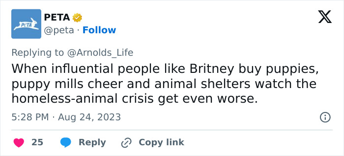 Britney Spears Gets Slammed By PETA After Sharing News Of Her Dog Snow