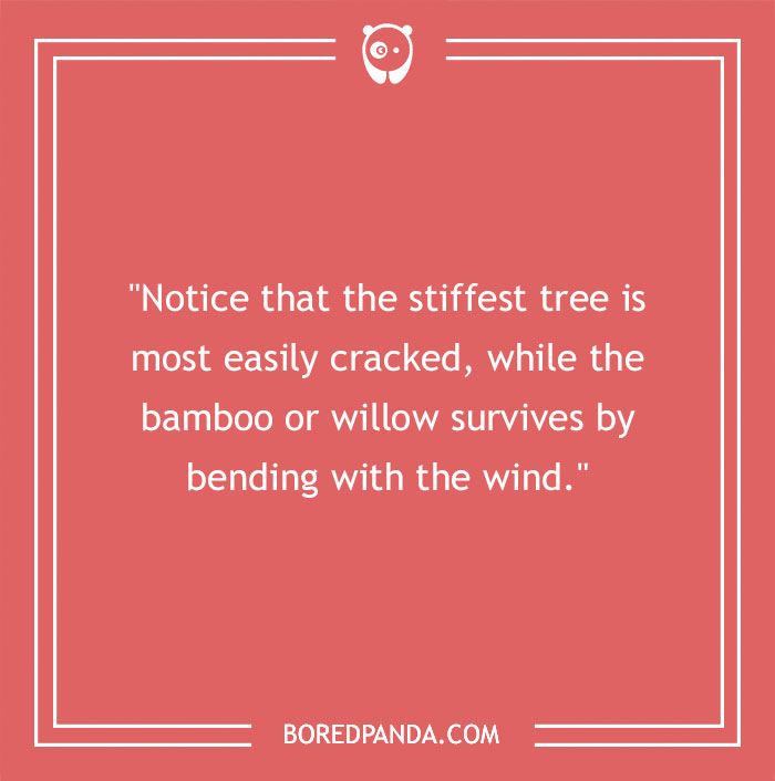 Bruce Lee quote about life on a red background with white text about resilience and bending like bamboo. - 41