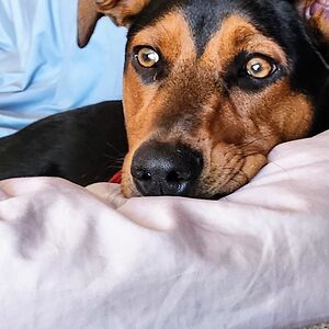 sandiegokevin5150 avatar