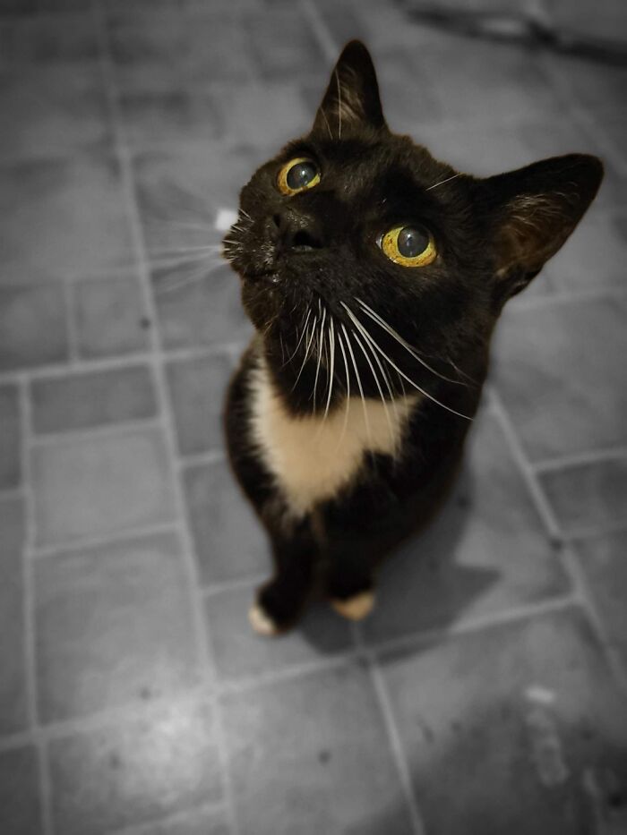 This Is Nemo She Lived Till The Ripe Old Age Of 23