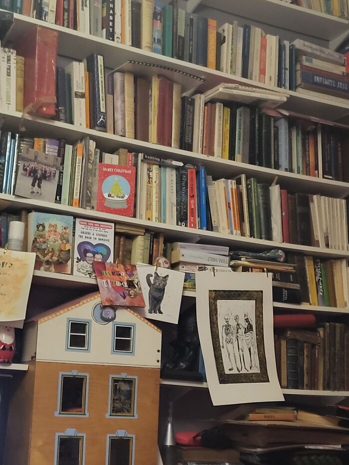 My Bookshelves Are Always Messy