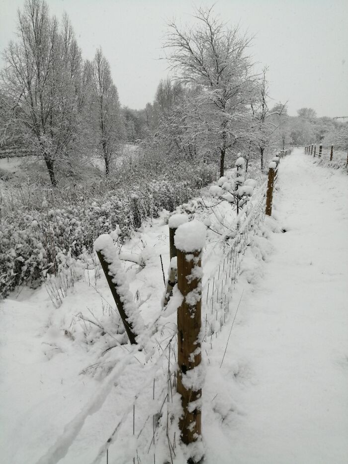 First Snow Of The Year - 2022