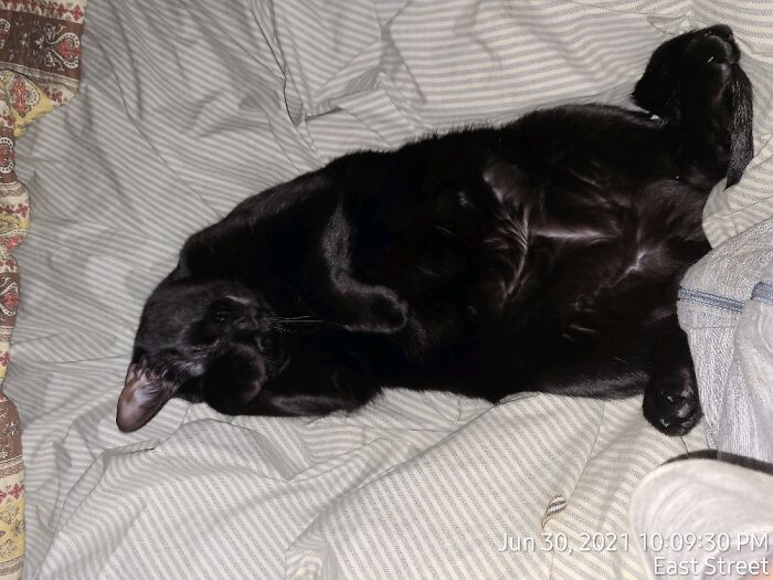 Meet Hermione Granger. Aka Little Fattie!