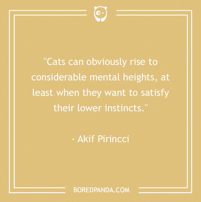 Akif Pirincci quote about cats instincts
