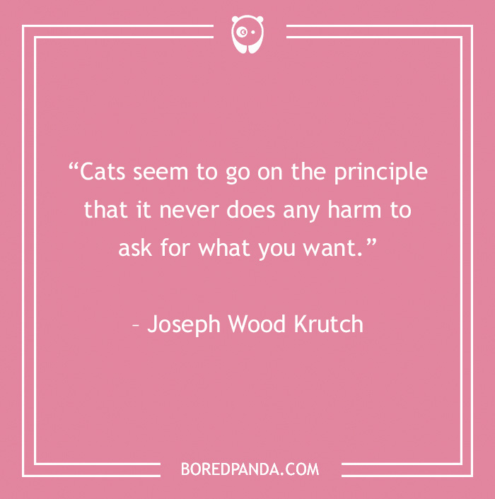 Joseph Wood Krutch quote about cat's principle