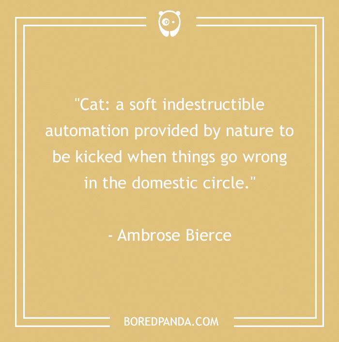 Ambrose Bierces detailed description of a cat 