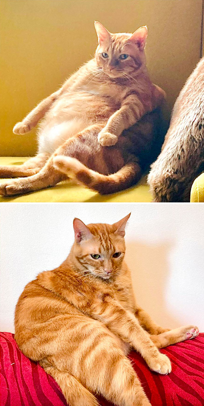 Before And After Losing Almost 2 Kg. One Year Apart