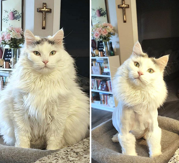 Such A Good Progress